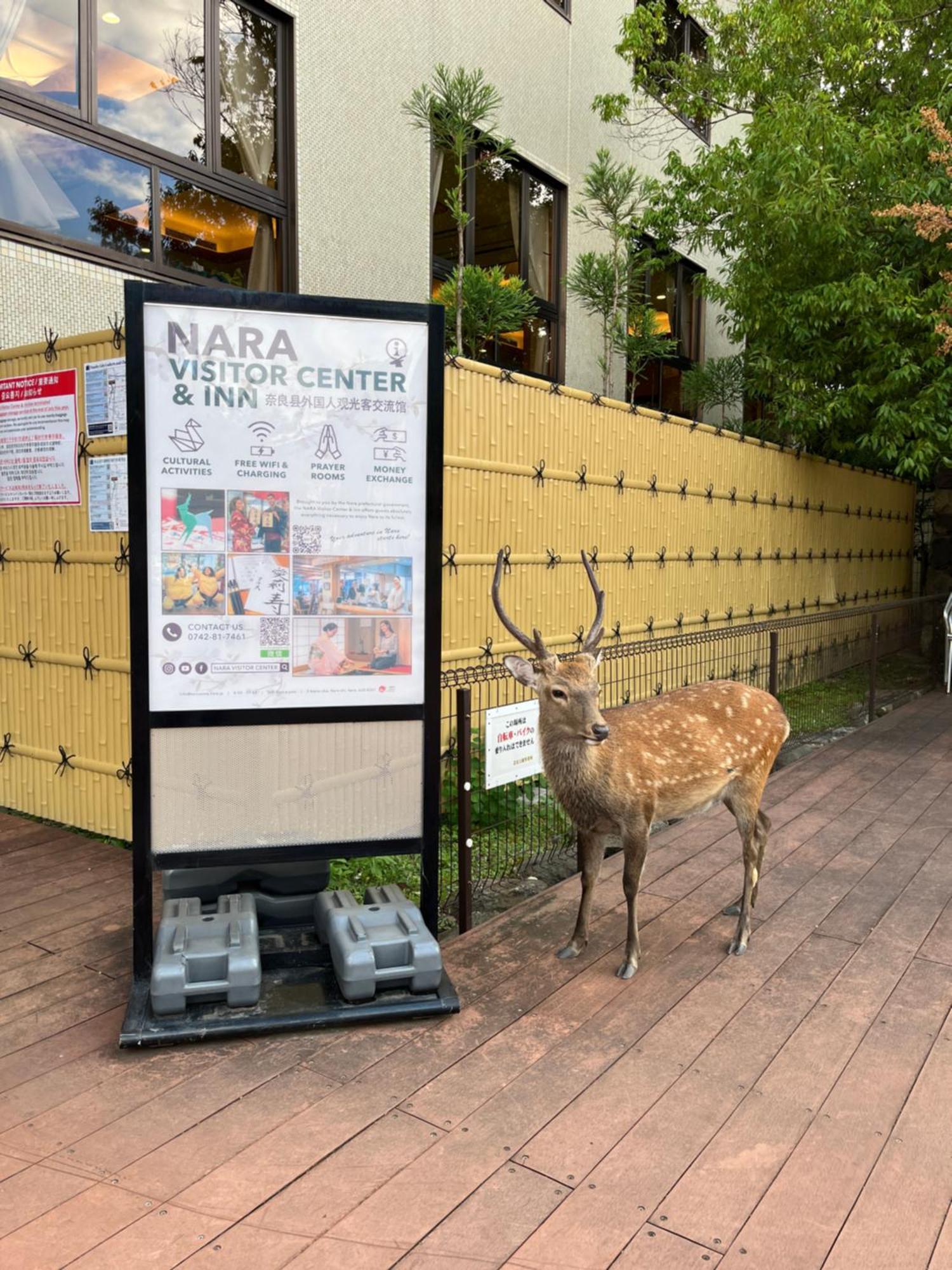 Nara Visitor Center And Inn Exterior photo